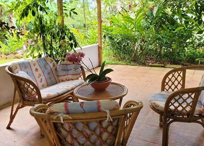 Appartement d\'une chambre avec jardin clos et wifi a Sainte Rose a 2 km de la plage