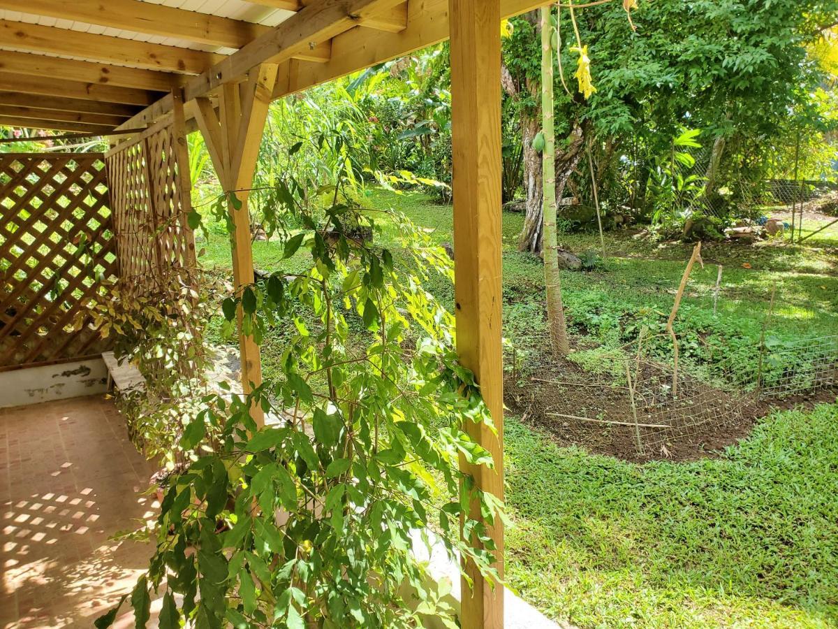 D'une Avec Jardin Clos Et Wifi A Rose A 2 Km De La Appartement Sainte-Rose