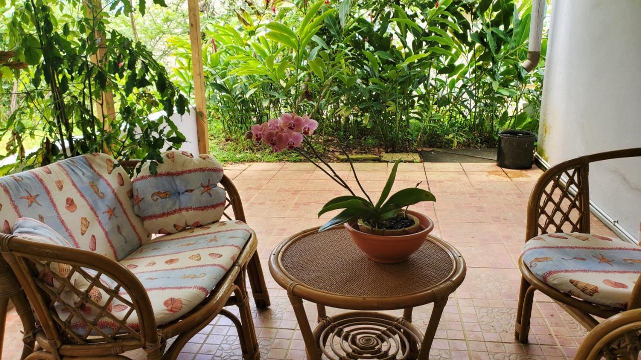 D'une Avec Jardin Clos Et Wifi A Rose A 2 Km De La *